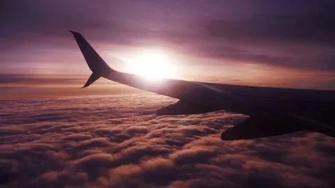 Vuelta a casa