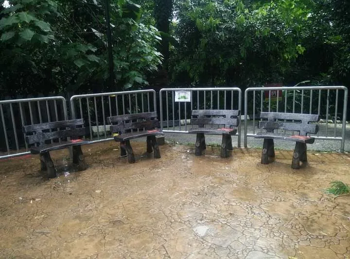 Bukit Nanas Forest