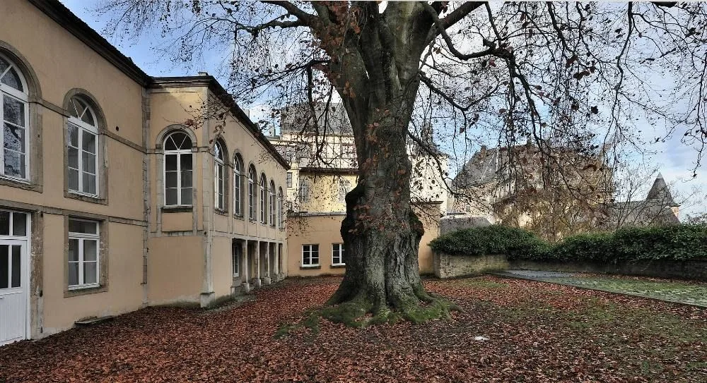 Letzebuerg City Museum