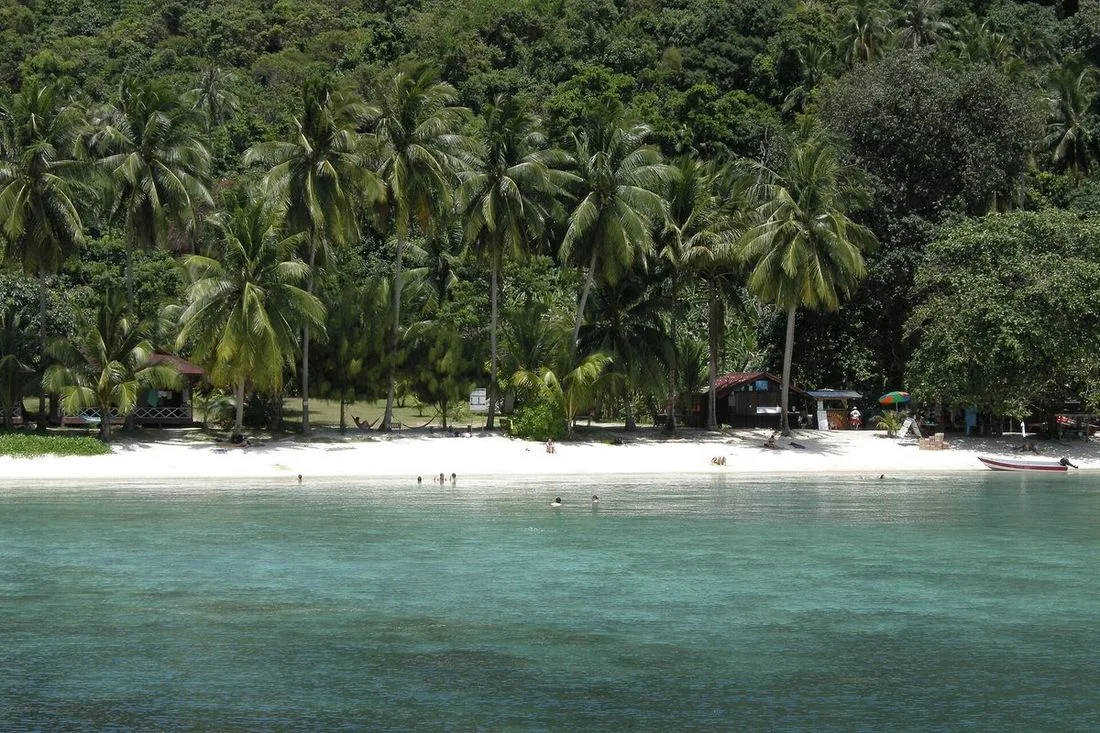 Snorkel «5 Points»