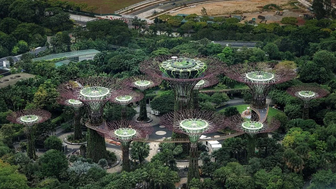 Singapur, última jugada