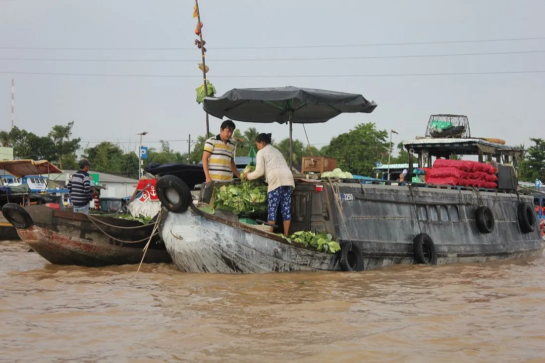 Delta del Mekong