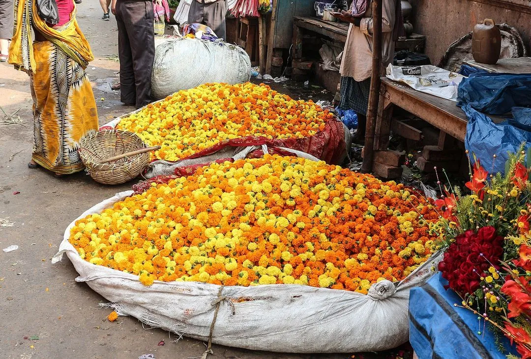 Mullick Ghat Flower Market