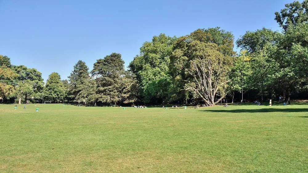 Ano Nuevo