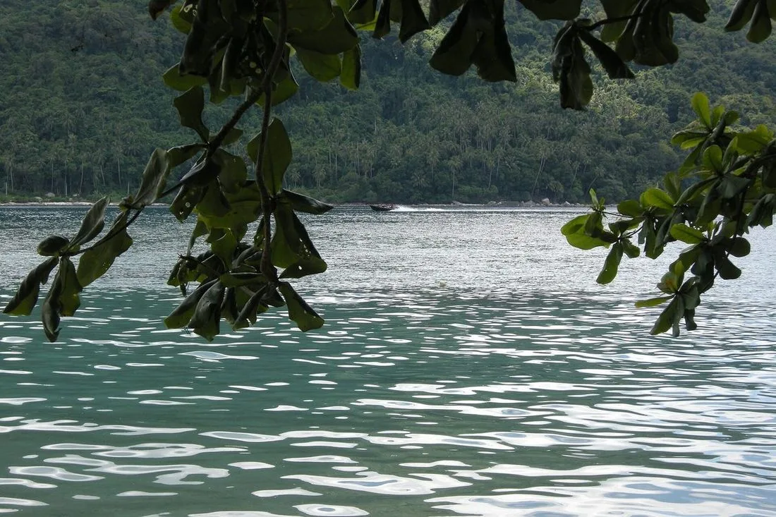 A las Perhentian