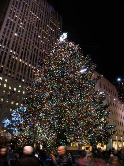 Aterrizaje y primeras luces de Navidad