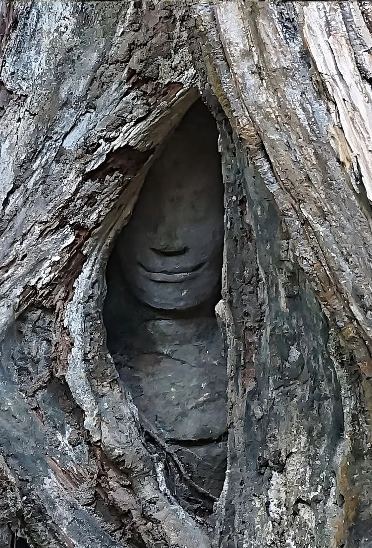 Ta Prohm
